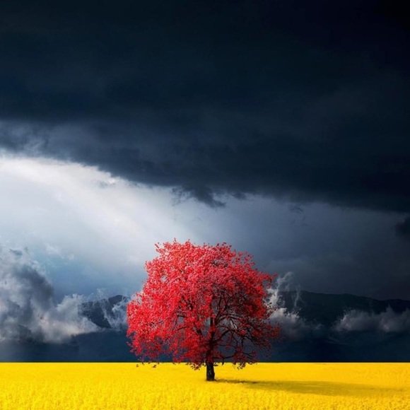 Meet your Posher, Nicholas - Picture 1 of 1